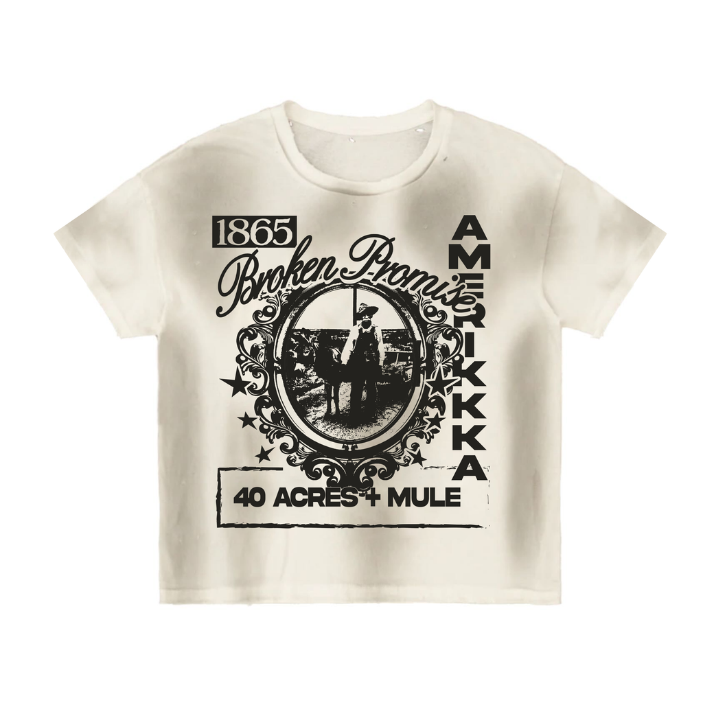 "1865 AMERIKKKA PROMISE" VINTAGE TEE